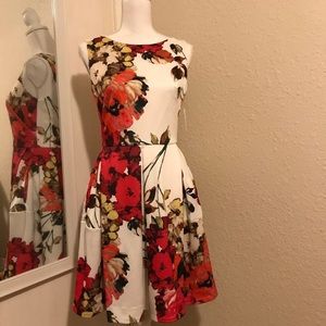 NWT Retro style garden party dress